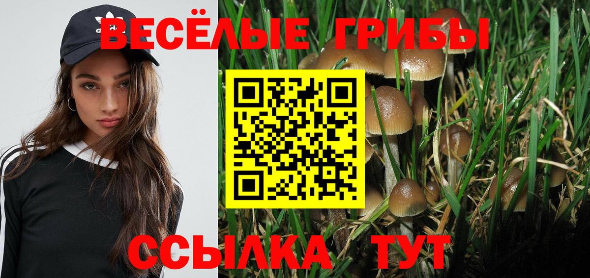 Усть-Джегута  Псилоцибиновые грибы Psilocybe  Галлюциногенные грибы мицелий  Вход с VPN 
