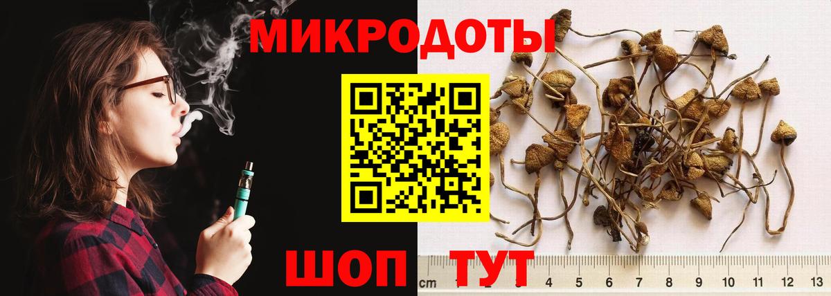Псилоцибиновые грибы мухоморы Усть-Джегута